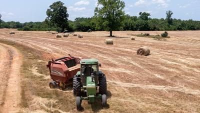 USDA begins accepting discrimination relief applications from farmers